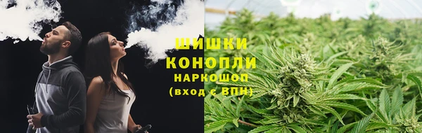 трава Новодвинск