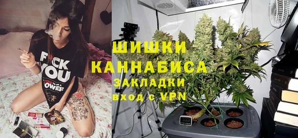 трава Новодвинск